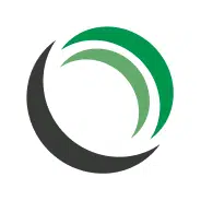 Radial Bearing Icon